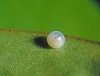 button2