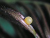 button3