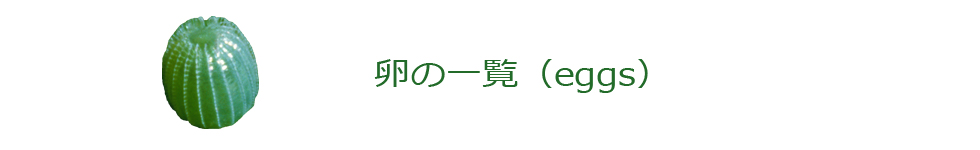 卵