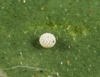 button2