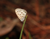 button3