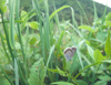 button9