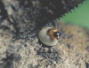 button3