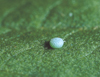 button2