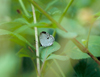 button1