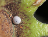 button2