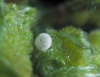 button2