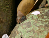 button9