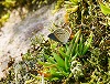 button1
