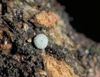 button2