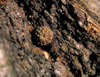button2