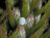 button3