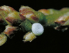 button3