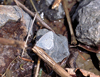 button13