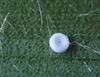 button2