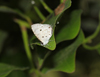 button8