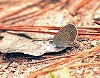 button2