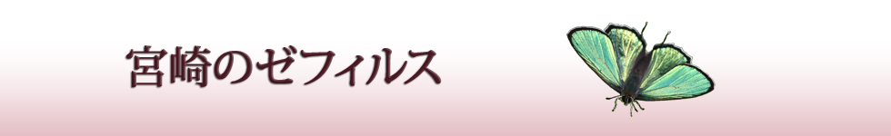 宮崎のゼフィルス