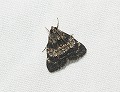button1