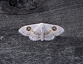 button1