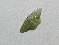 button1