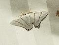 button2