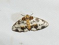 button2
