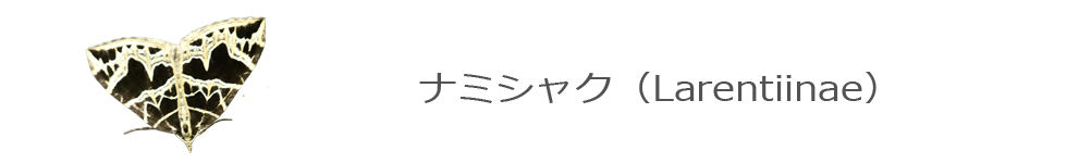 ナミシャク