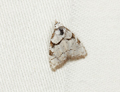 button1
