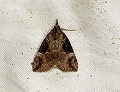 button1