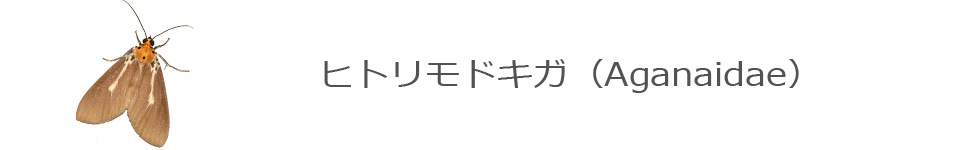 qghLK