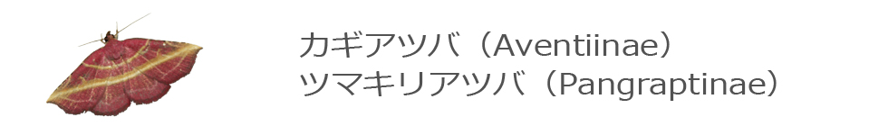 カギアツバ