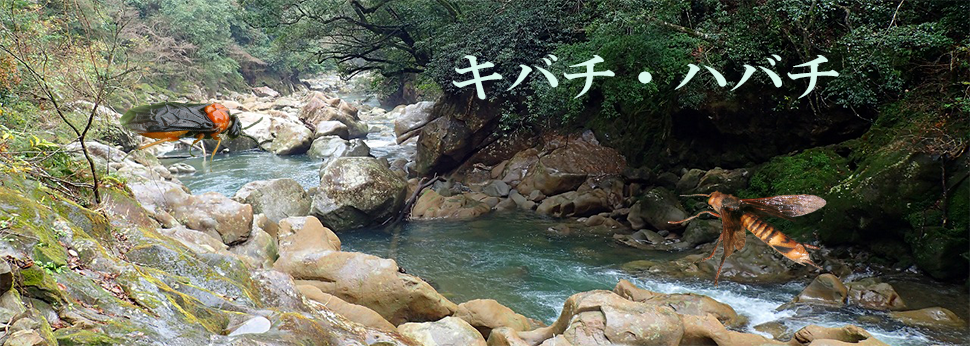 ハバチ，キバチ