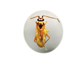 button1