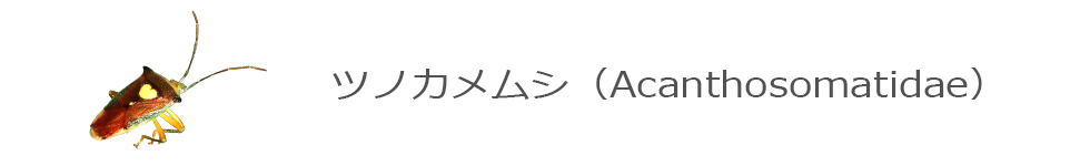 �c�m�J�����V