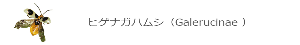 qQiKnV