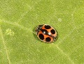 button3