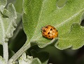 button3
