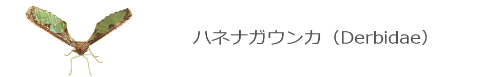 nliKEJ