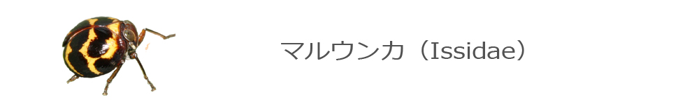 }EJ