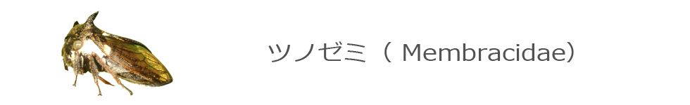 cm[~